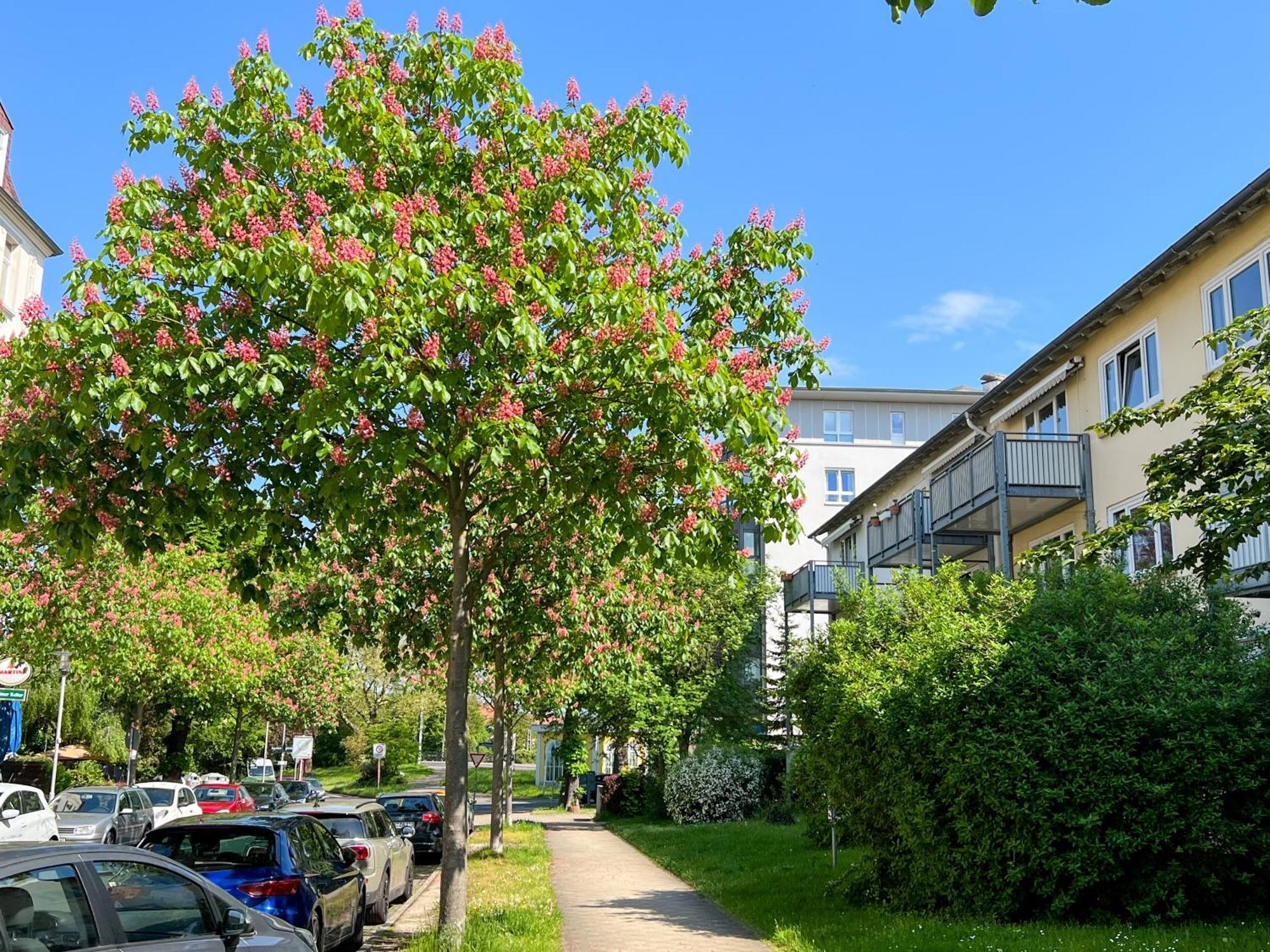 New-York Appartment, 2 Zimmer, Zentral Naehe Bahnhof Wilhelmshoehe Kassel Bagian luar foto